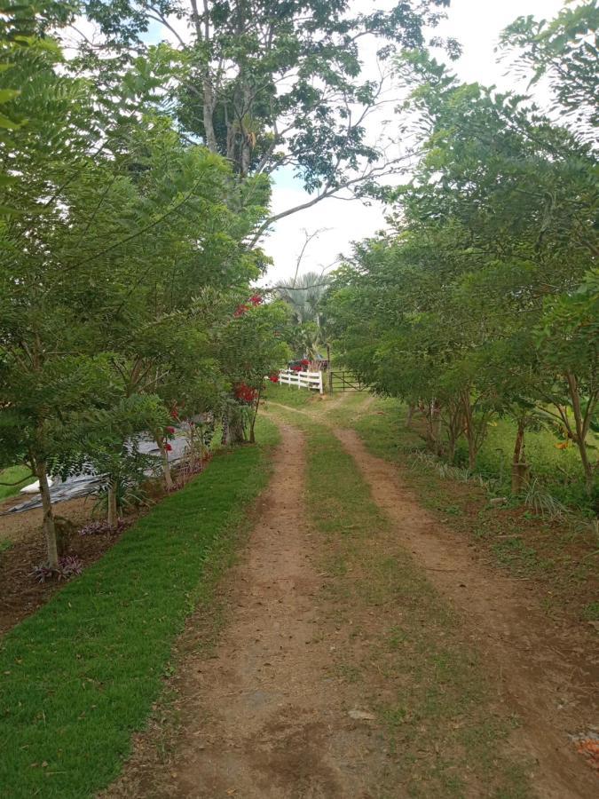 Rancho De Juancho Villa Pereira Exterior photo
